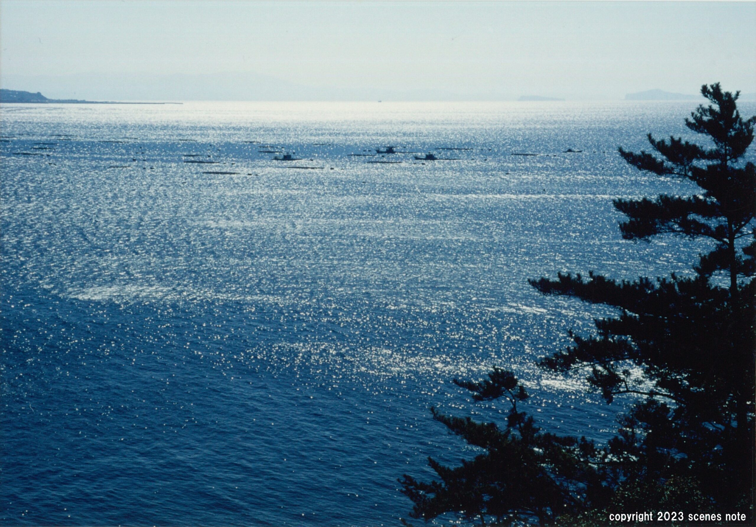 静かな海 scenes note
